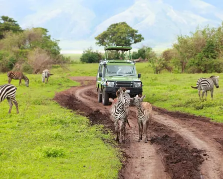 VOYAGE EN TANZANIE